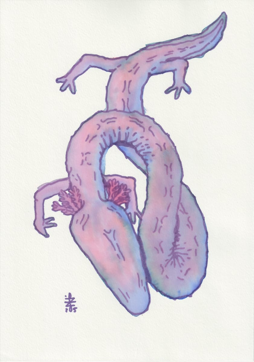 olm-2025
